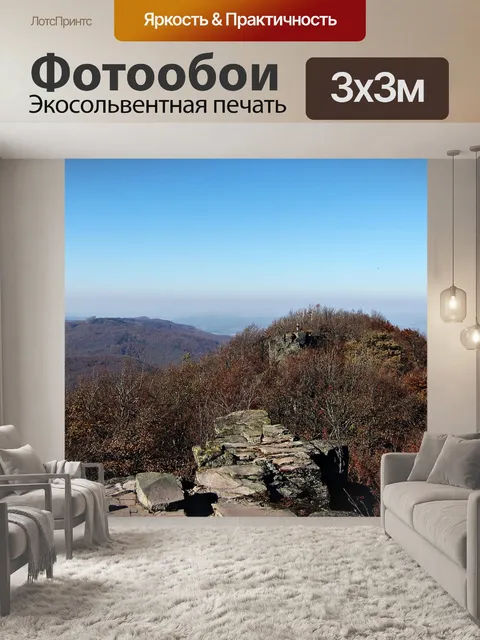 Фотообои Лес