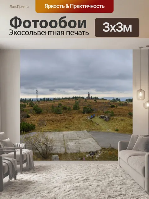 Фотообои Черный лес