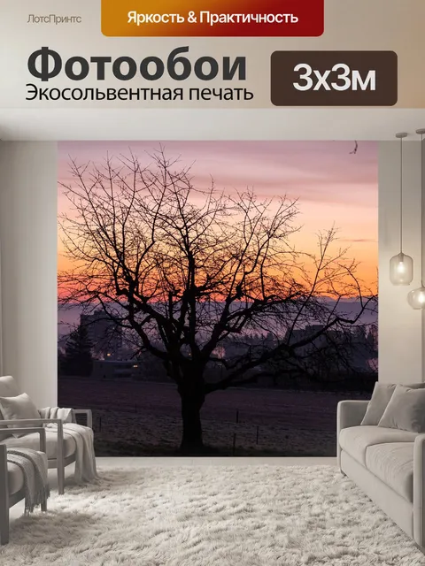 Фотообои Рассвет