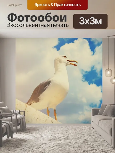 Фотообои Чайка