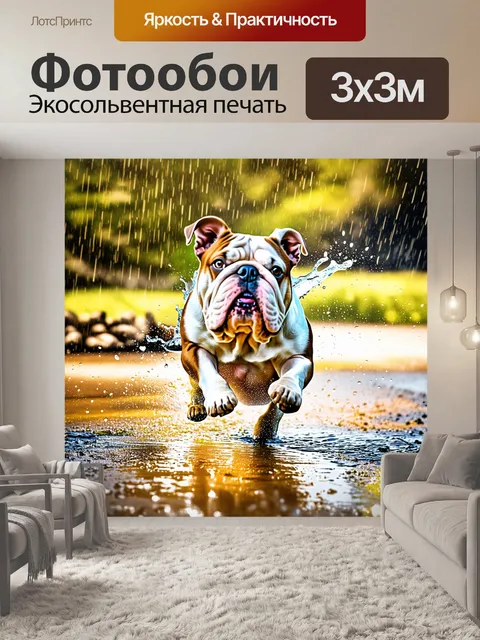 Фотообои игривая сцена с бульдогом, прыгающим через лужу после дождя
