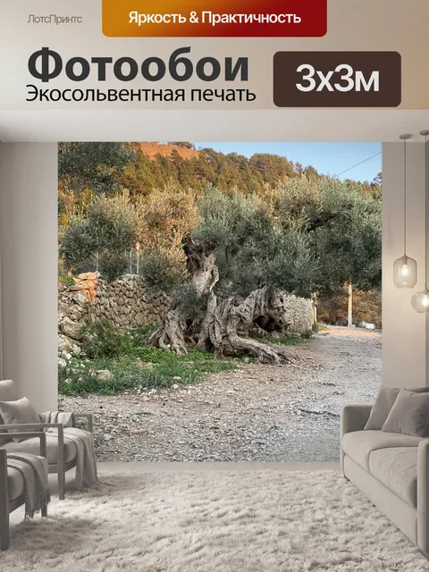 Фотообои Оливковое дерево