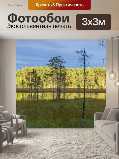 Фотообои Деревья