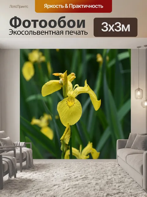 Фотообои Цветы
