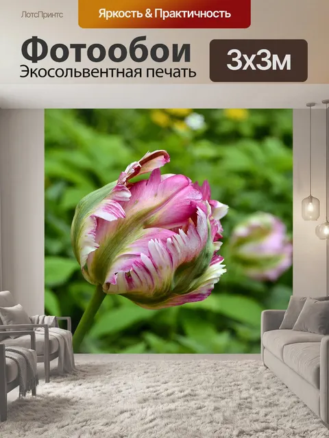 Фотообои Цветы