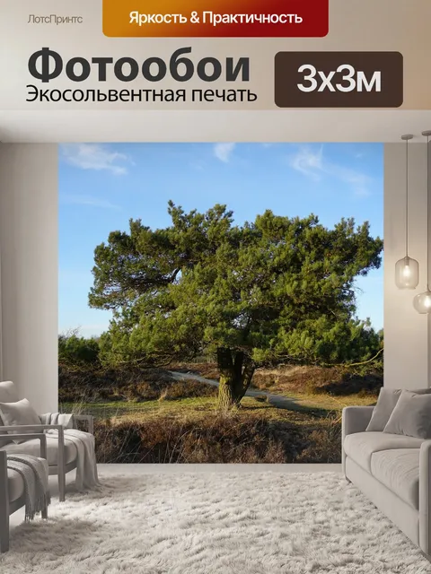 Фотообои Пейзаж