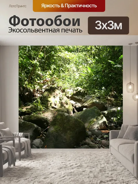 Фотообои Коста-Рика тропических лесов