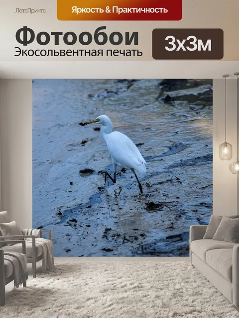 Фотообои Цапля