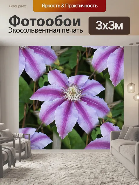 Фотообои Пурпурная плитка из клематиса