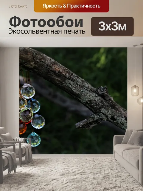 Фотообои Ветка