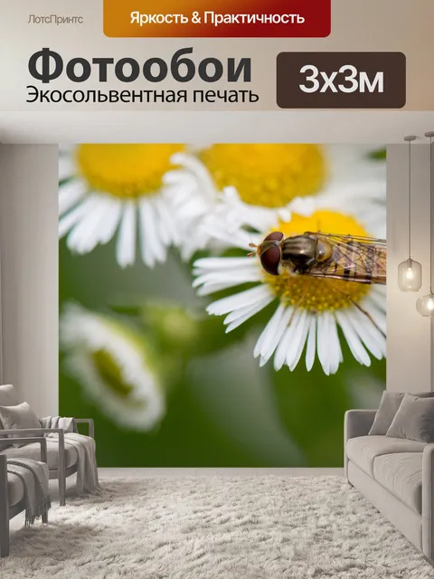 Фотообои Обед