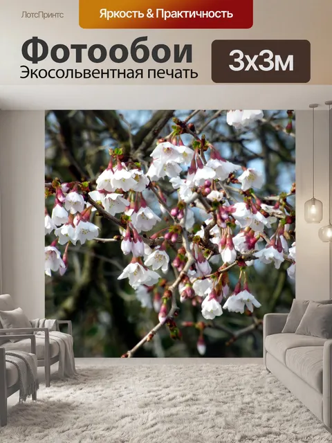 Фотообои Цветы