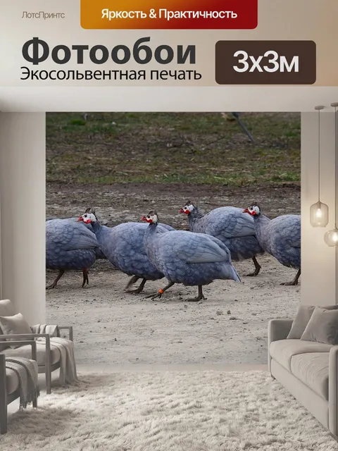 Фотообои Птицы