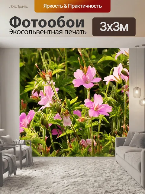 Фотообои Цветок