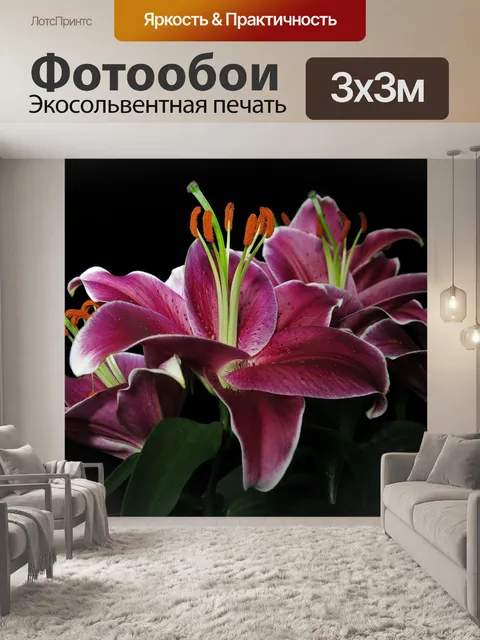 Фотообои Цветы