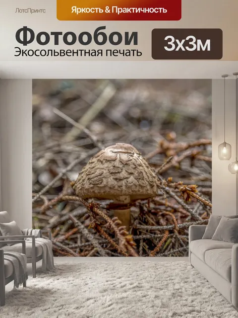 Фотообои Дикие грибы