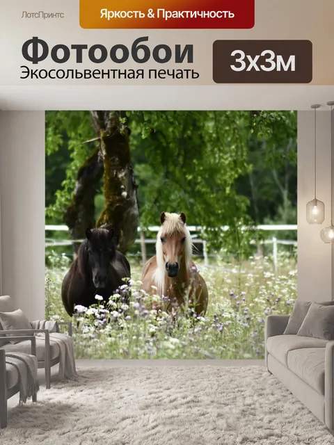 Фотообои Лошади