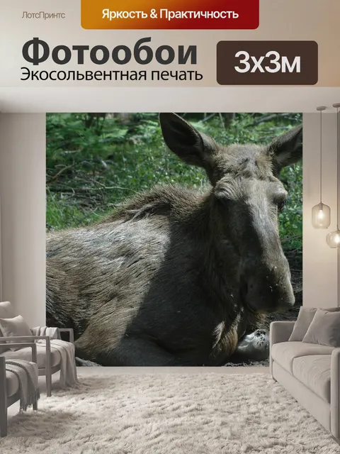 Фотообои Швеция