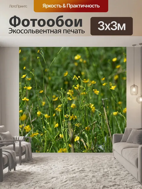 Фотообои Цветы
