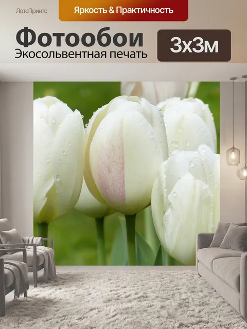 Фотообои Тюльпаны