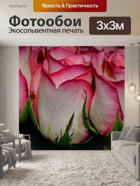Фотообои Ницца цветы