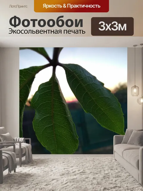 Фотообои Листья