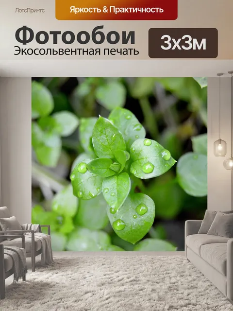 Фотообои Листья