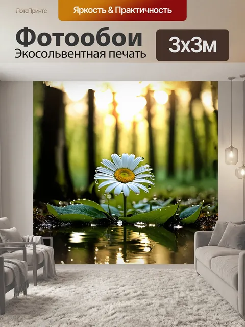 Фотообои ромашка в росистом утреннем лесу