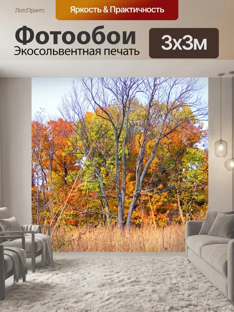 Фотообои Осень поле