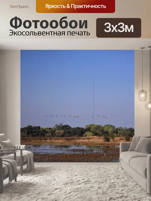 Фотообои Растения и птицы заповедника