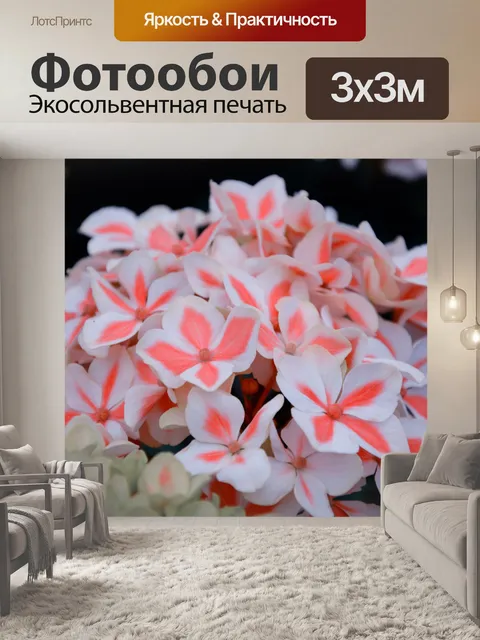 Фотообои Голландские цветы в садах 71