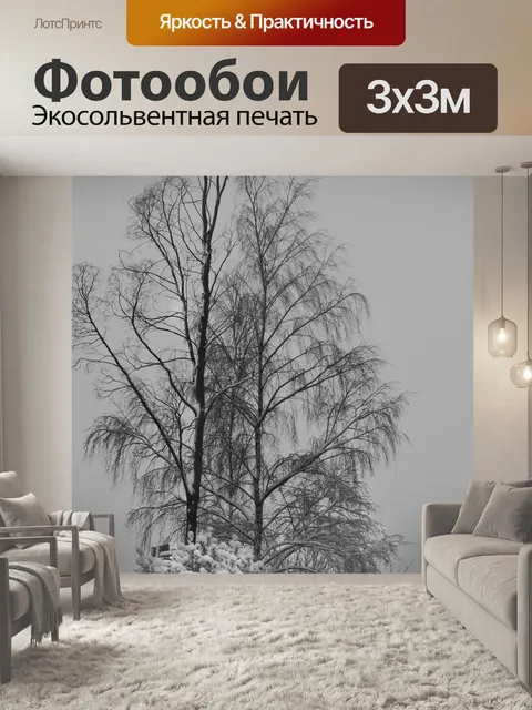 Фотообои Зима
