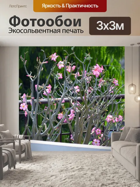 Фотообои Пустынная роза