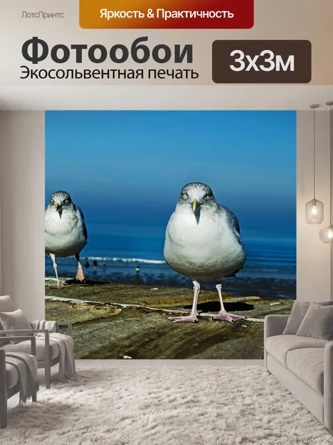 Фотообои Чайка