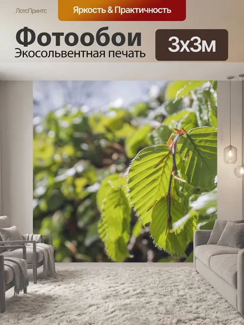 Фотообои Листья