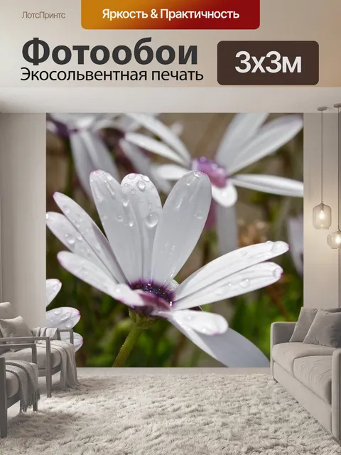 Фотообои Цветок
