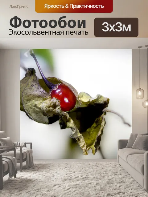 Фотообои Фрукты