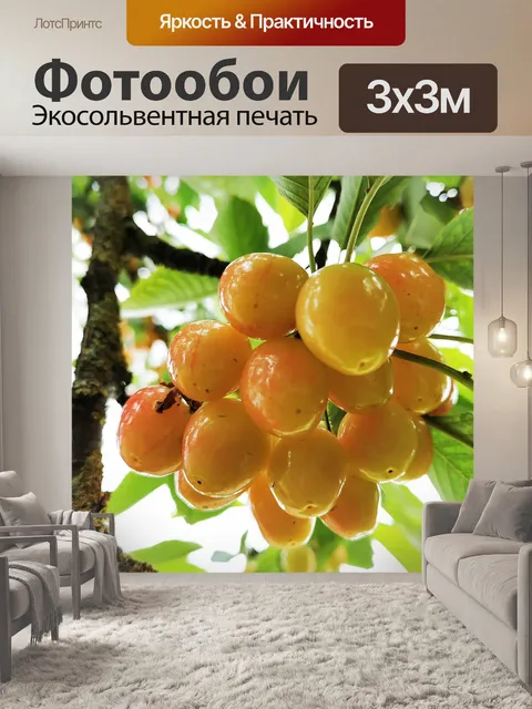 Фотообои Вишня