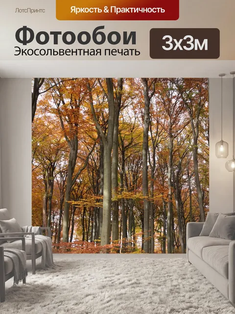 Фотообои Лес
