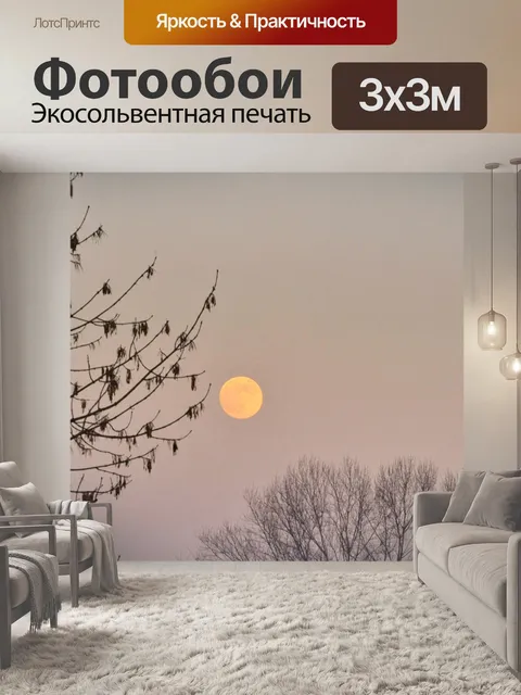 Фотообои Луна