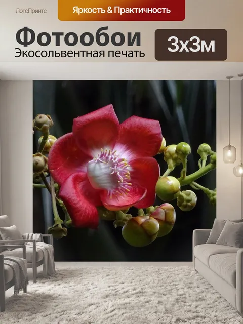 Фотообои Цветок