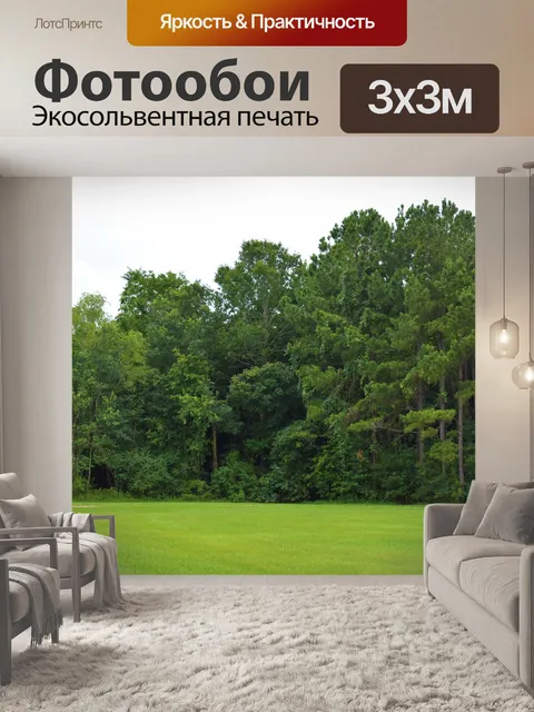 Фотообои Лесные деревья
