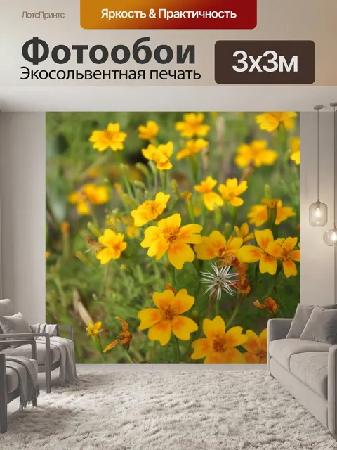 Фотообои Луг