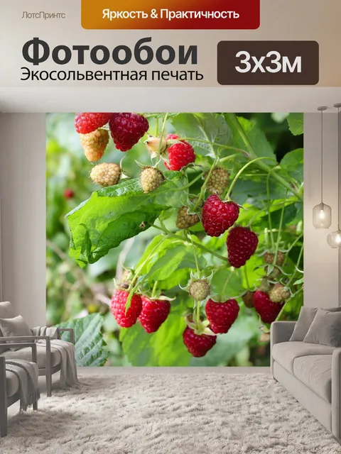 Фотообои Свежий