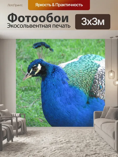 Фотообои Природа