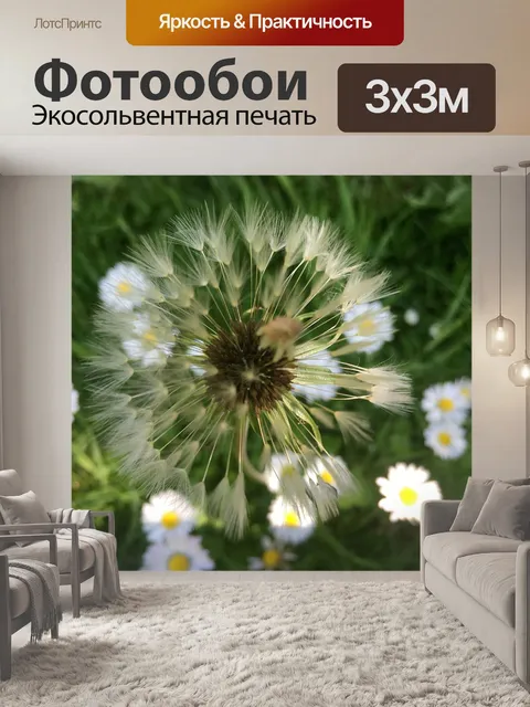 Фотообои Одуванчики