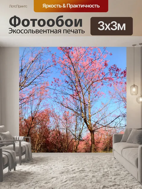 Фотообои Prunus cerasoides, дикая гималайская виш