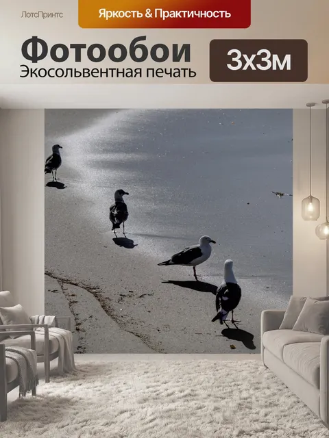 Фотообои Чайки у берега
