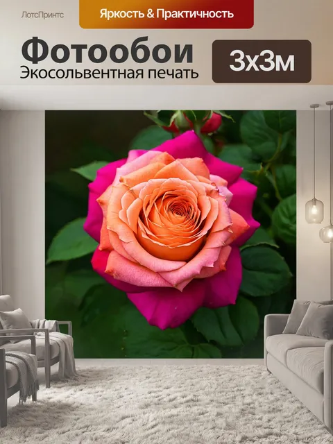 Фотообои розы с крупным планом деталей цветков