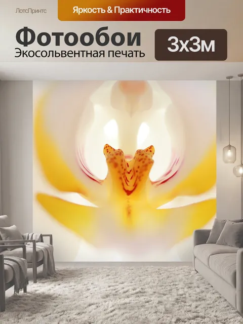 Фотообои Цветок
